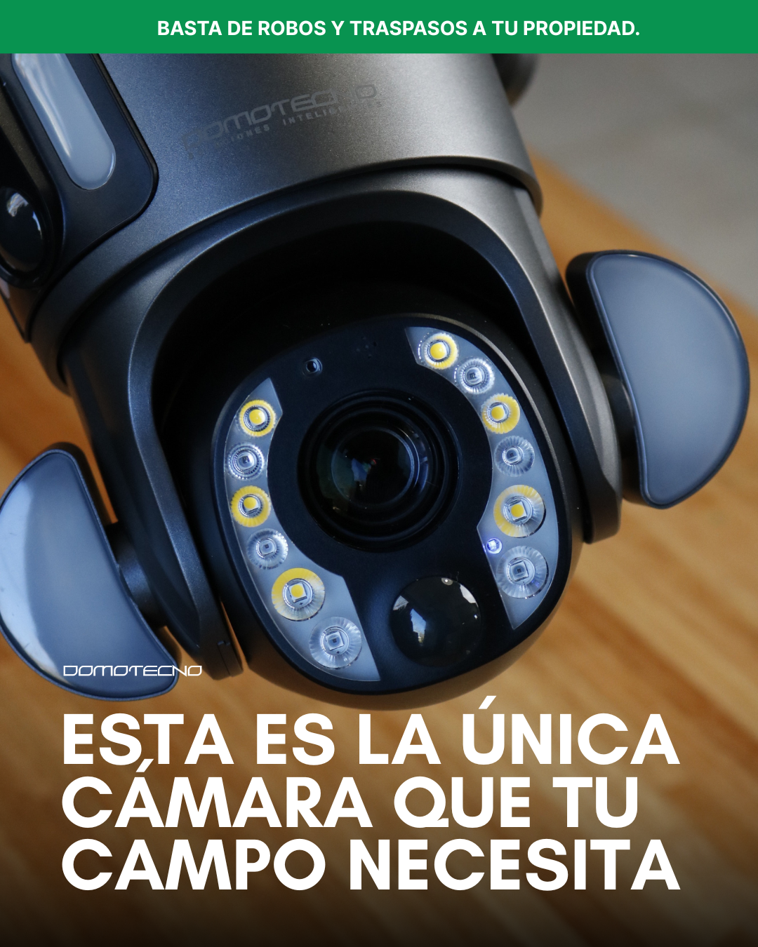 galeria domotecno (6)